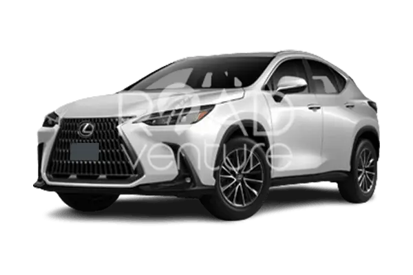 LEXUS NXH