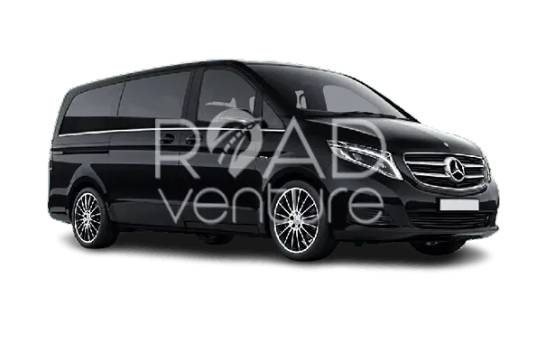 MERCEDES VIANO