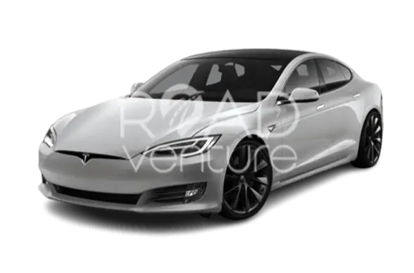 TESLA S