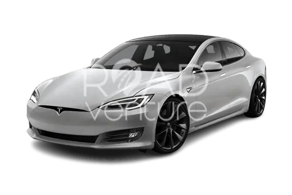 TESLA S